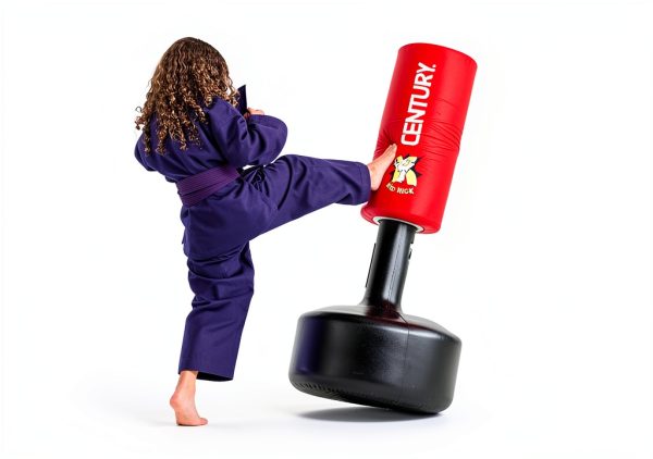 Century Heavy Duty Boxing Punching Bag-1